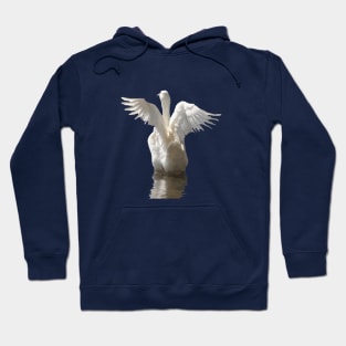 Like A Duck To Water Bird Launch Cut Out Hoodie